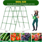 63" Tall Cucumber Trellis for Raised Garden Bed U-Frame Arch Tunnel Trellis Metal Tomato Cage Plant Support Stand for Peas,Bean,Grapes,Flowers,Vines Climbing Plants Outdoor