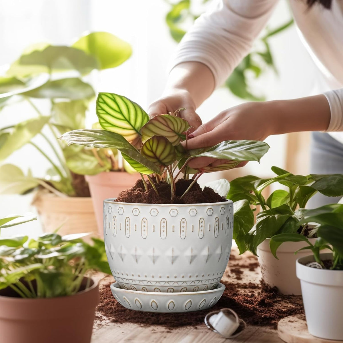 G EPGardening Ceramic Plant Pot - Succulent Pots with Drainage Hole and Saucer 5 Inch Planter for Indoor Plants Outdoor Decorative Round Flower Pot White