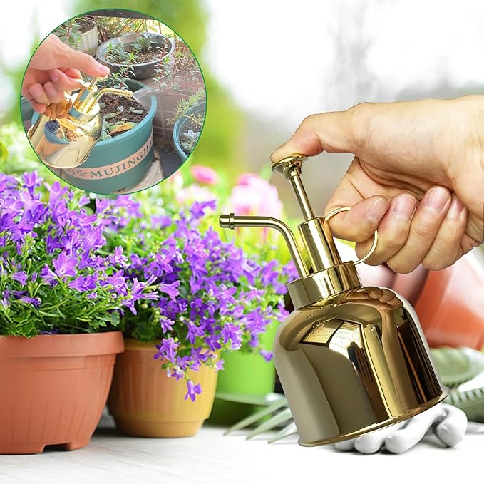 Stainless Steel Plant Sprayer, Small Watering Can Modern Gardening Tool for Indoor Potted Plants Watering and Spraying