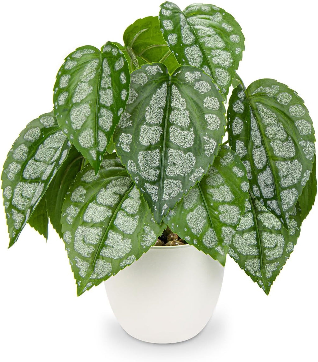 Fake Plants Small Faux Potted Plant 9.8 Inches Fake Piper Sylvaticum with Pot Artificial Plants Indoor for Home Decor Bedroom Aesthetic Bathroom Shelf Living Room Office Kitchen Table Decoration