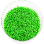 Mainam Dwarf Baby Tears Hemianthus Callitrichoides Tissue Culture US Nursery Live Aquarium Plants Decorations Freshwater Fish Tank Aquatic Plant3 Days Pond Tropical