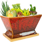 ARTKETTY Succulent Pots - 7 Inch Large Plant Pot with Drainage Tray, Shallow Ceramic Pots for Indoor Plants, Modern Cactus Bonsai Plant Container Decorative Home Office