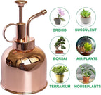 Plant Mister Spray Bottle Stainless Steel Plant Sprayer, Small Watering can Plant Spray Bottle Modern Gardening Tools for Indoor Potted Plants Watering and Spraying