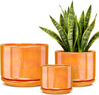EFISPSS Ceramic Plant Pots,4+5+6 Inch Ceramic Indoor Pots for Plants with Drainage Hole,for Succulent Cactus,Pothos,Snake Plant Gift for Plant Lovers Set of 3 - Orange Pearl Glaze Plant Pots
