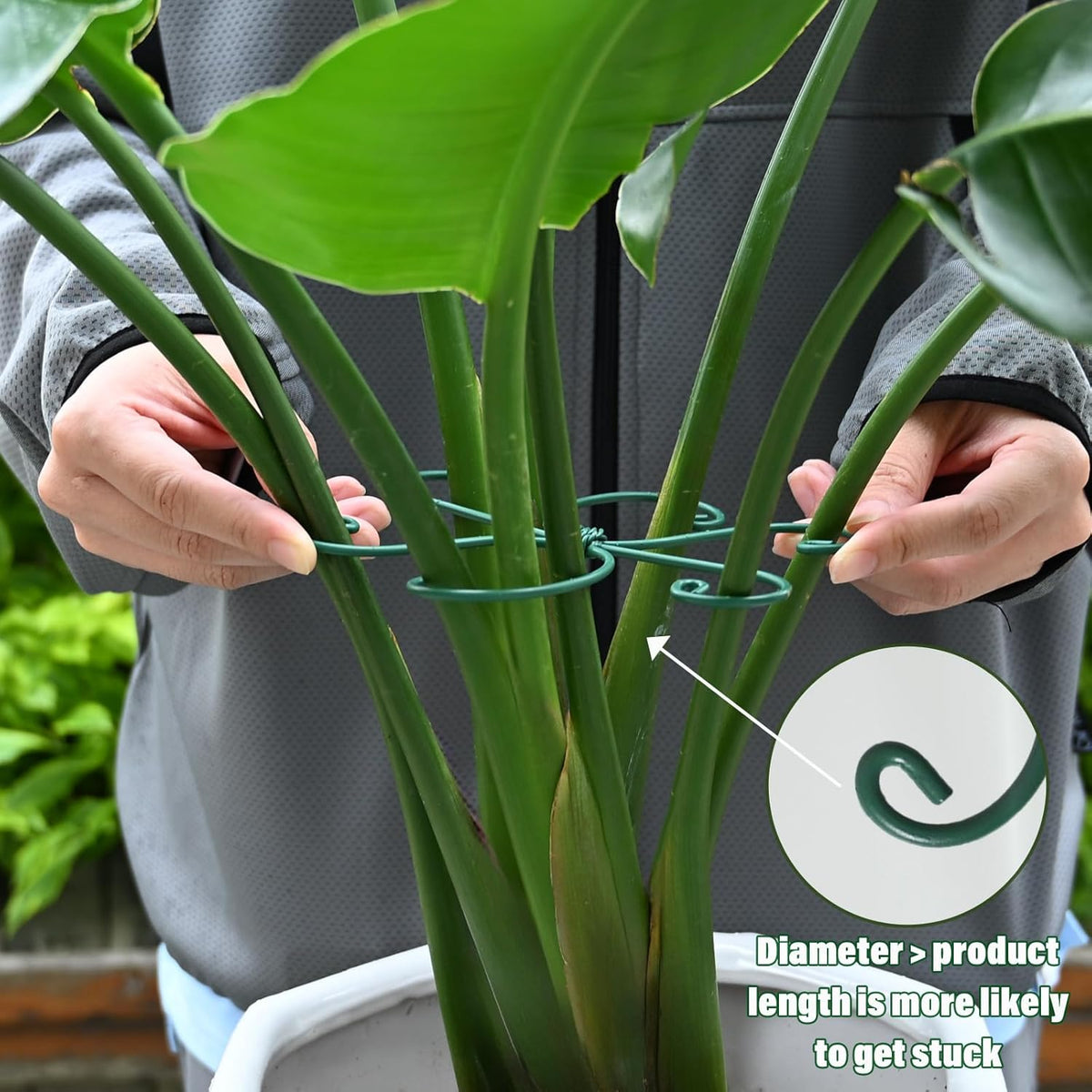 Monstera Plant Stem Support - 5 Pack 6.5"x6.5" Green Metal Stem Stabilizers, Adjustable Ring Clamps for Indoor Plants, Fishbone Cactus, Turtle Shell Bamboo & Climbing Vines