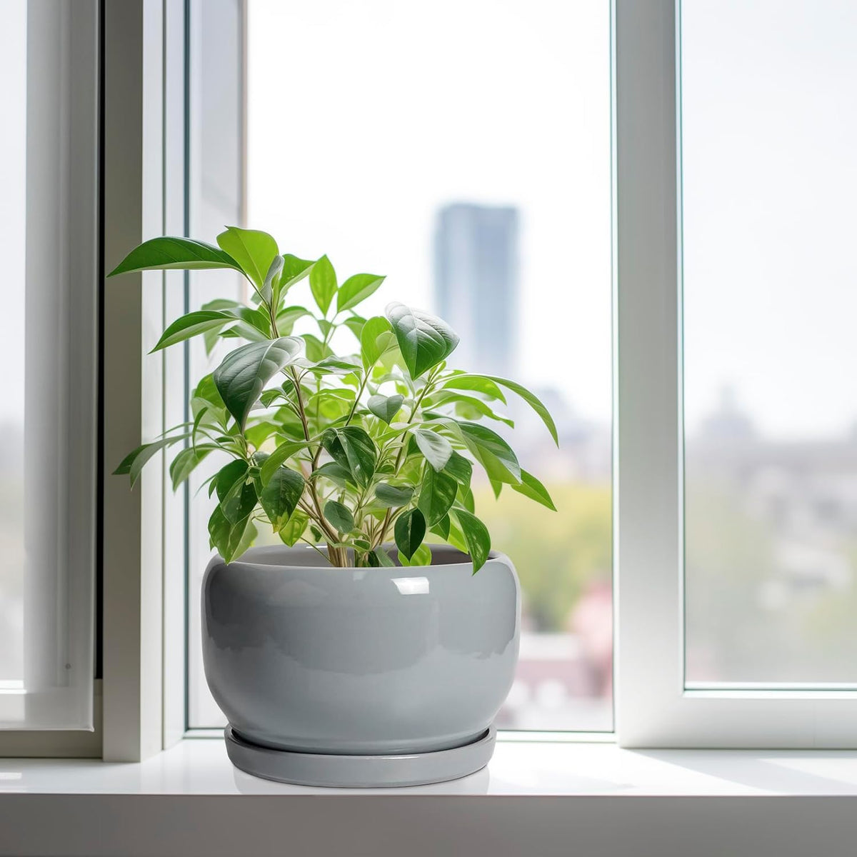 SQOWL 10 Inch Plant Pot - Ceramic Planter for Indoor Plants, Round Ceramic Flower Pot with Drainage Hole and Saucer, Modern Large Outdoor Planter, Room Decor, Housewarming Gifts, Gray