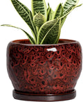 SQOWL Ceramic Pot for Plants - 6 Inch Plant Pot Indoor with Drainage Hole and Saucer, Decorative Flower Pot Outdoor, Round Succulent Planter, Front Porch Decor, House Warming Gifts New Home, Red
