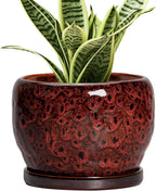 SQOWL Ceramic Pot for Plants - 6 Inch Plant Pot Indoor with Drainage Hole and Saucer, Decorative Flower Pot Outdoor, Round Succulent Planter, Front Porch Decor, House Warming Gifts New Home, Red