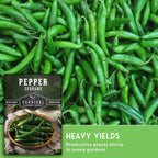 Mexican Serrano Pepper Seeds for Planting | Fresh Hot Chili & Green Hot Pepper Seeds – Heirloom Non-GMO Variety for Sauce, Salsa & Pickling – Survival Garden Seeds (2 Packs)