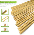 20pcs 5/8" D Thicker Heavy Duty Bamboo Stakes, 6FT Plant Stakes, Natural Garden Stakes for Tomato, Bean, Flowers,Trees Potted and Climbing Plant Support