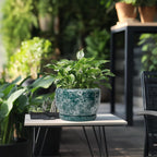 SQOWL 8 Inch Plant Pot - Ceramic Planter for Indoor Plants, Decorative Flower Pot with Drainage Hole and Saucer, Round Planter Outdoor, Room Patio Decor, Garden Gifts for Women, Green