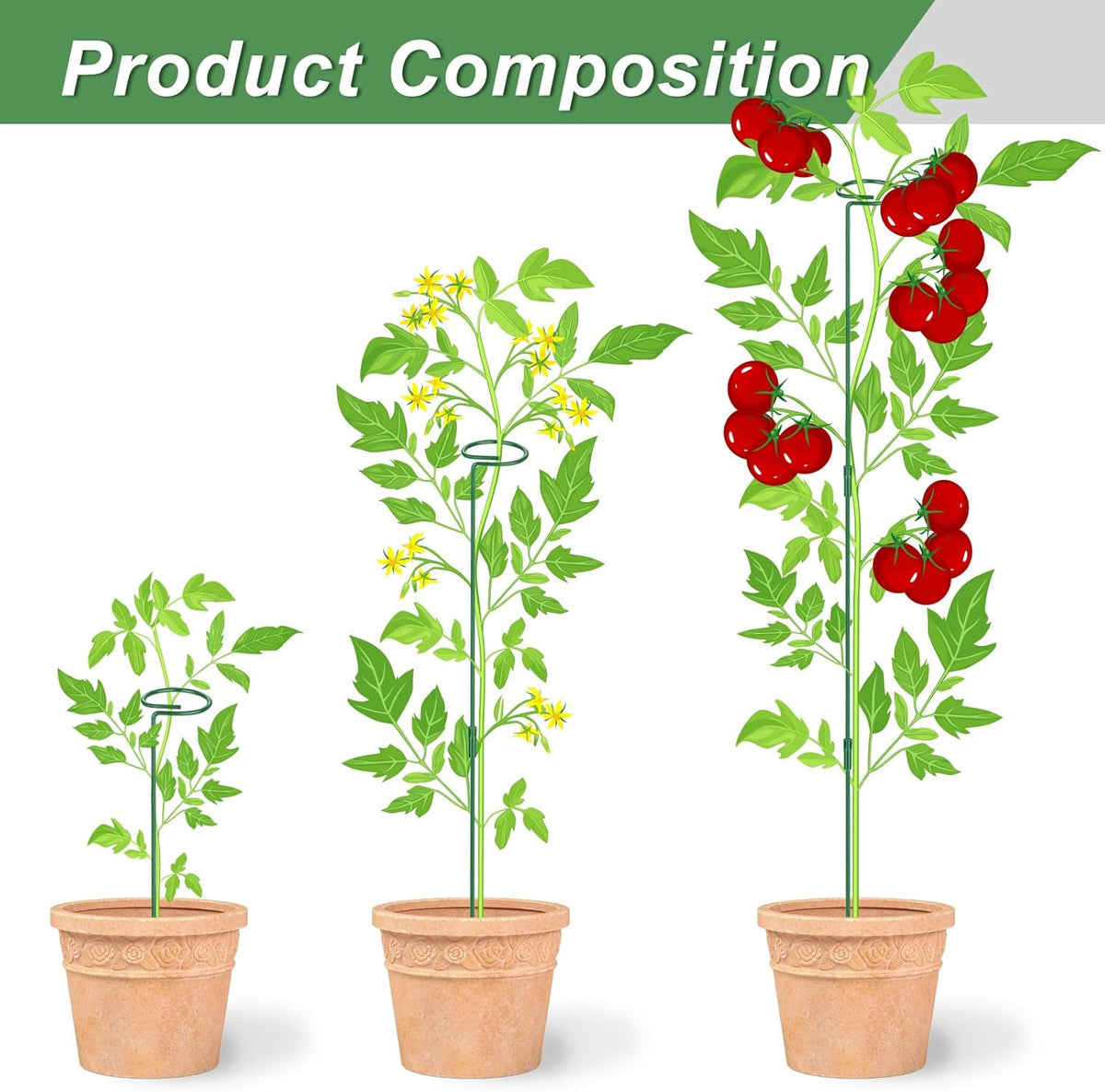 6 Pack (DIY) Plant Support Stakes, Three Sizes (12 or 24 or 36 inch) Plant Support Rings for Outdoor or Indoor, Garden Plant Stakes for Flowers Vegetable Roses Daffodils Tomatoes