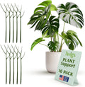 Plant Support Stakes, Stem Holder Structures for Indoor & Outdoor Use, Garden Accessories for Climbing & Potted Plants, Trellis Alternative - Monstera (Dark Green), 10 Pack, 22" L, Original