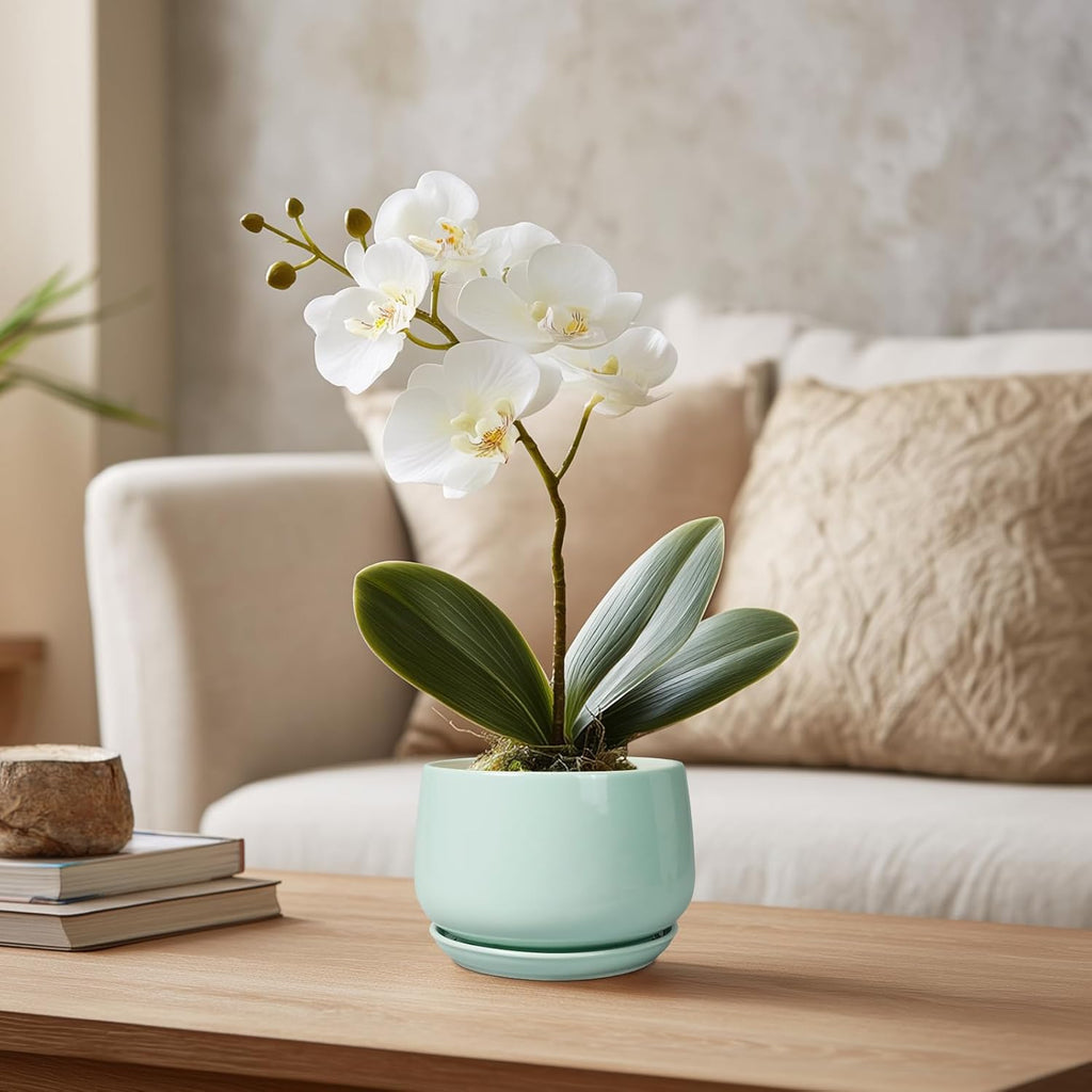 G EPGardening Ceramic Plants Pots - 4 inch Plant Pots Indoor Outdoor, Small Succulent Planter with Drainage Hole & Tray, Modern Flower Pot, Round Decorative Planters, Office Decor, Garden Gift, Green