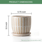 Ceramic Flower Pots Indoor-Outdoor: 5.75 Inch Planters with Drainage Holes & Saucer - Modern Decorative Plant Pots Ceramic for Home Gardeners (Striped)
