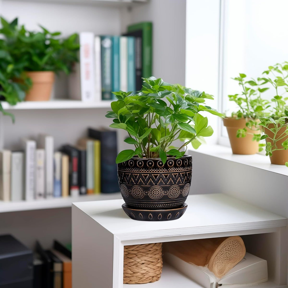G EPGardening 5.5 Inch Ceramic Planter - Ceramic Plant Pot for Indoor Outdoor Plants, Boho Round Flower Pot with Drainage Hole and Saucer, Gifts for Plant Lovers, Office Garden Home Decor, Black