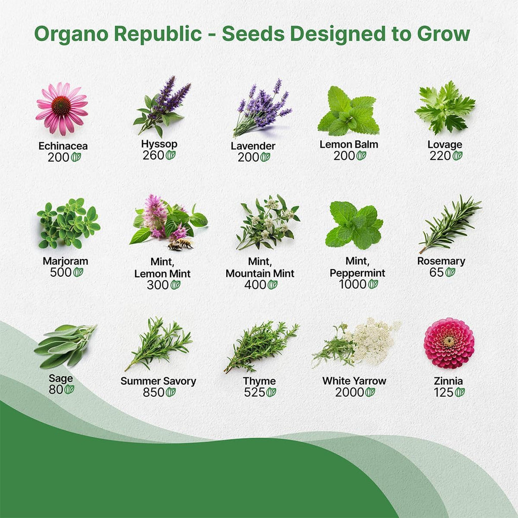 Organo Republic 30 Medicinal Tea Herb & Flower Seeds Variety Pack - 13600+ Non-GMO Heirloom Flower Seeds for Outdoor & Indoor Garden, Including Bergamot, Catnip, Calendula, Dandelion, Lovage, Zinnia