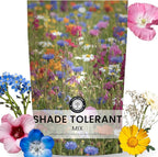 Shade Tolerant Mix – 56,000 Wildflower Seeds for Pollinator Gardens – 2026 Season – 4 Ounce Pouch