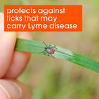 OFF! Deep Woods Insect Repellent V Ticks Aerosol 6 oz, Pack of 6