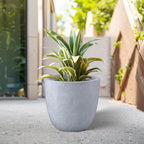 Kante 10 Inch Dia Round Concrete Planter, Indoor Outdoor Large Plant Pot with Drainage Hole and Rubber Plug for Home Patio Garden, Gray