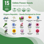 Organo Republic 15 Edible Flower Seeds Variety Pack- Indoor/Outdoor. 4800+ Non-GMO Heirloom Flower: Borage, Bishop's Flower, Chicory, Chives, Hyssop, Echinacea, Lavender Seeds & More