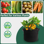 5 Pack 10 Gallon Thickened Grow Bags, Aeration Nonwoven Fabric Planting Bags with Handles, Heavy Duty 300G Garden Planter Pot for Tomato, Potato, Strawberry, Vegetable, Fruits and Flowers