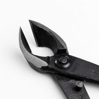 Wazakura Japanese Bonsai Tool Kit Made in Japan - Satsuki Scissors 7inch(180mm) + Concave Branch Cutter 8inch(200mm) Gift Box Set