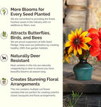 Eden Brothers South Dakota Wildflower Mixed Seeds for Planting, 1 oz, 30,000+ Seeds with Sweet Alyssum, Toadflax | Attracts Pollinators, Plant in Spring or Fall, Zones