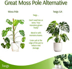 Stackable Monstera Plant Support Stakes, Climbing Plants Support Structures for Indoor & Outdoor Use, Garden Accessories, Alternative to Moss Pole - Monstera Green, 5 Pack, 17" L