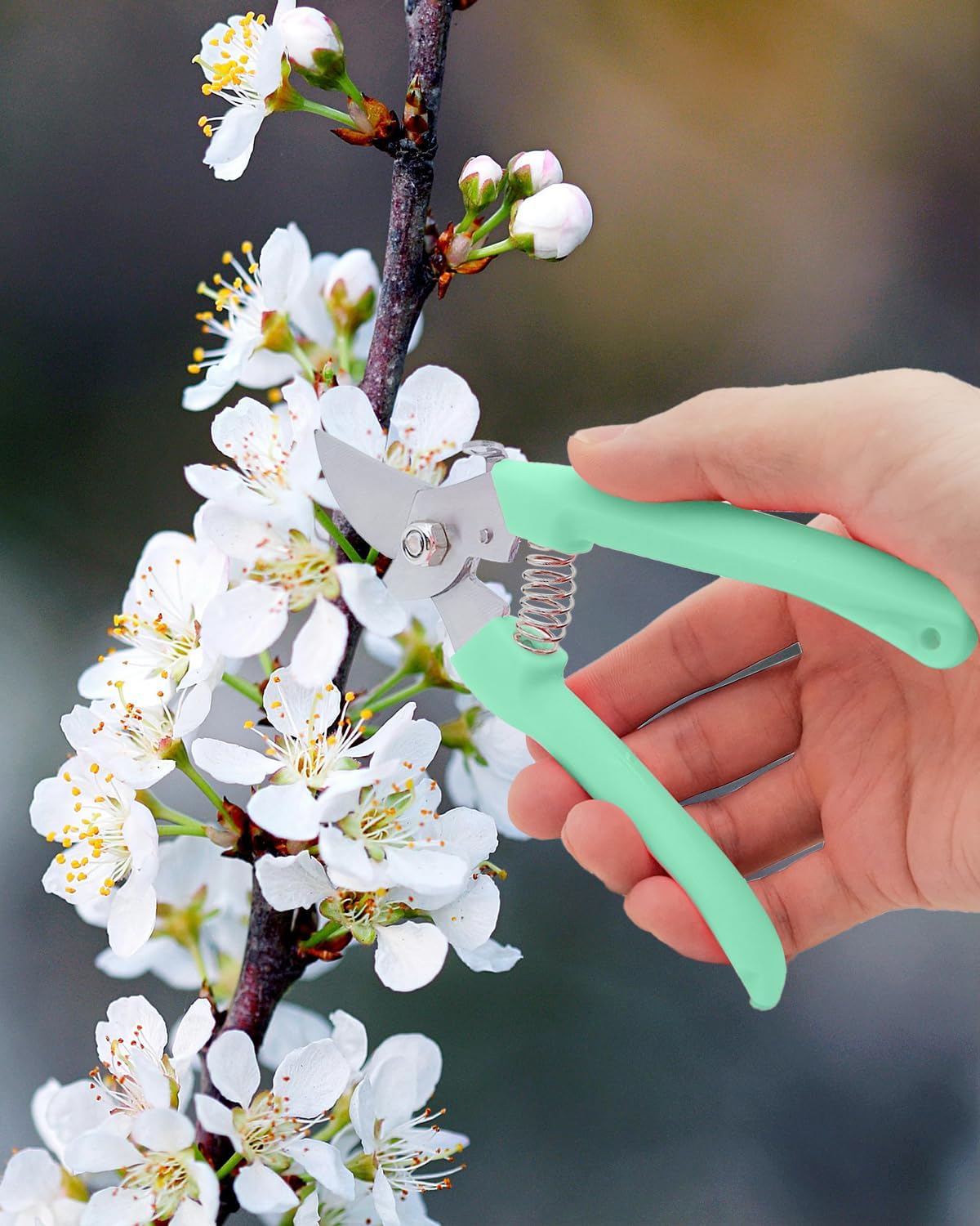 Pruning Shears for Gardening, 4 Pack Garden Scissors for Cutting Fresh Flowers, Floral Clippers for Plants, Fruits (Green)