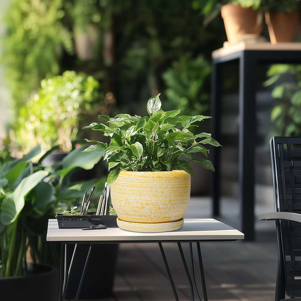 SQOWL Ceramic Flower Pots - 8 inch Plant Pot Indoor with Drainage Hole and Saucer, Modern Ceramic Planter Outdoor, Round Decorative Planter, Living Room Home Decor, Gifts for Plant Lovers, Yellow