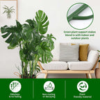 9 Pack Green Plant Support Stakes Plant Stakes for Indoor and Outdoor Plants. 39.37inch Plant Sticks with Extension Poles, Plant Clips,Plant Ties for Potted Monstera Plants, Climbing Plants