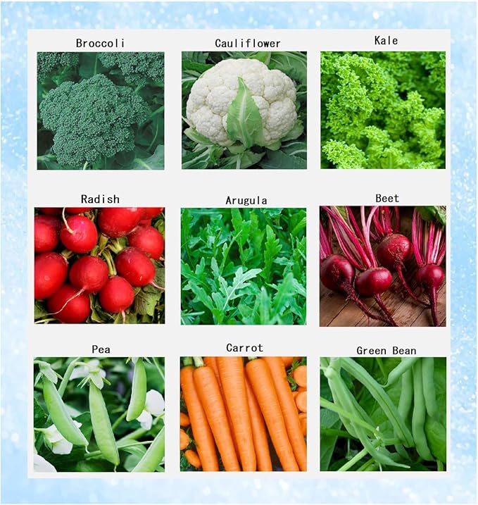 Premium Winter Vegetable Seeds Collection for Planting Organic Non-GMO Heirloom Seeds Radish, Pea, Broccoli, Beet, Carrot, Cauliflower, Green Bean, Kale, Arugula, Gardner and Chef Favorites