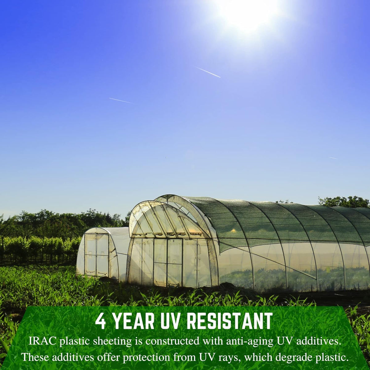 Farm Plastic Supply - Clear Coolmax Greenhouse Plastic Sheeting - 6 Mil - 4 Year UV Resistant Infrared Anti-Condensate Green House Covering Thermal Greenhouse Plastic 6 mil (50' x 60')