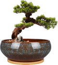 8 Inch Ceramic Bonsai Planter Pot, Glazed Shallow Succulent Planter with Drainage Hole and Bamboo Saucer for Indoor Plants, Green