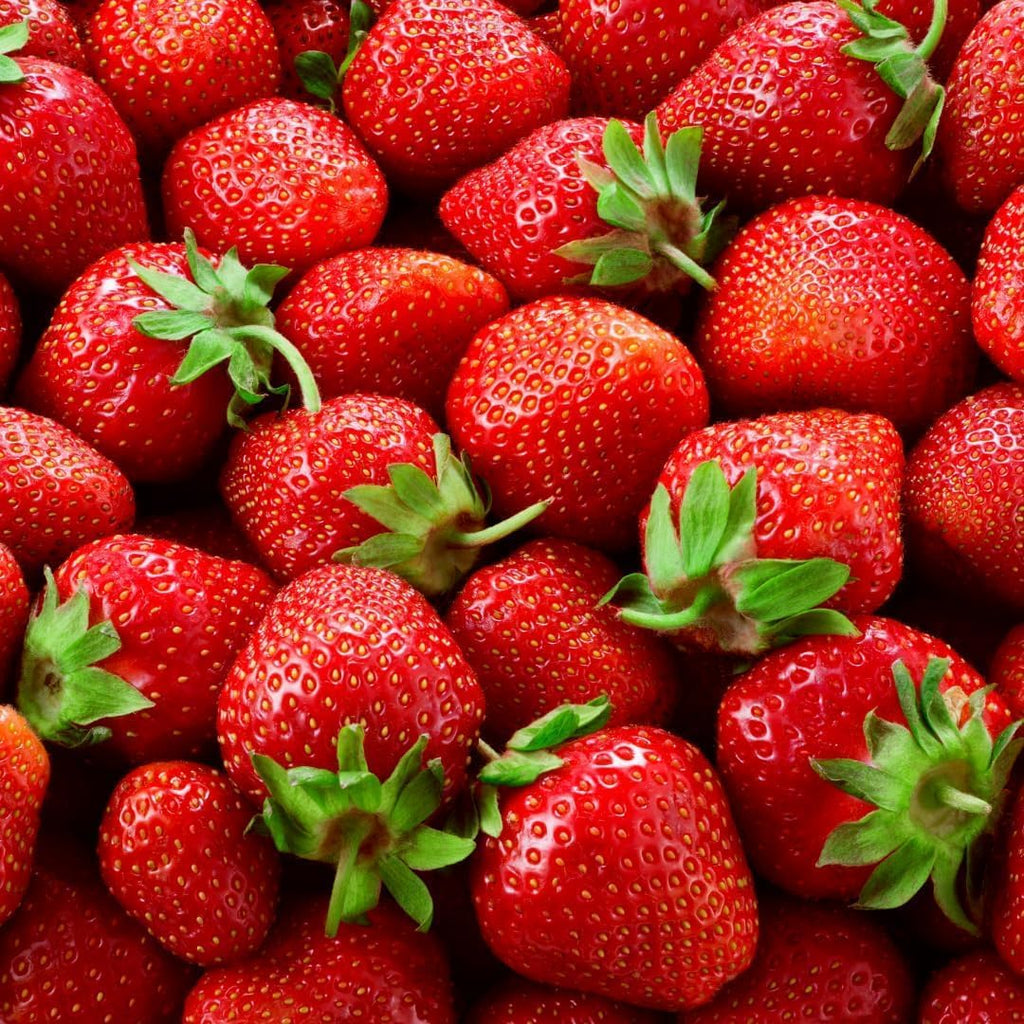 Mountain Jewels Strawberry Plants - Grow Giant Strawberries - Bare Root Plants for Growing (10 Plants)