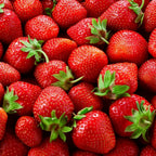 Mountain Jewels Strawberry Plants - Grow Giant Strawberries - Bare Root Plants for Growing (10 Plants)