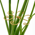4PCS Iron Monstera Support, Uniquely Designed Plant Support Stakes for Indoor Plants, Stable Plant Stakes and Supports, Turtle Shell Bamboo Clamp Set for Thriving Growth