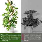 Soupiar 2 Pack 25" Moss Pole, Bendable Moss Pole for Plants Monstera, Moss Poles for Climbing Plants Indoor, Handmade Coco Coir Plant Pole Sticks Support Stakes for Potted Plants