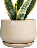 G EPGardening Ceramic Planter - 7 Inch Plant Pots with Drainage and Ceramic Tray, Flower Pots for Indoor Plants, Round Outdoor Planter, Room Decor, Gifts for Plant Lovers, Beige