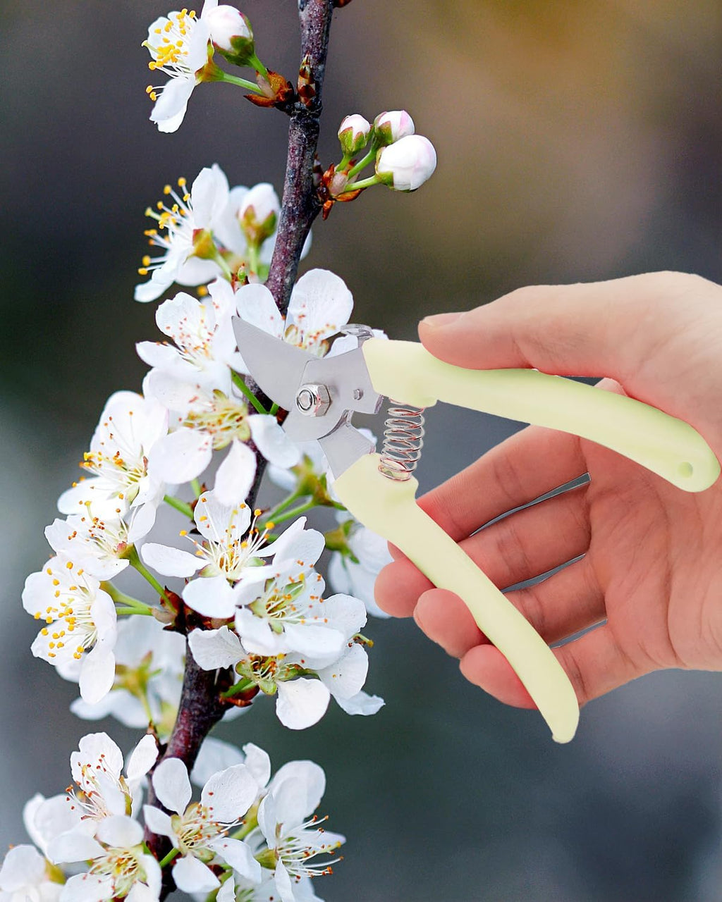 Pruning Shears for Gardening, 2 Pack Garden Scissors for Cutting Fresh Flowers, Floral Clippers for Plants, Fruits (Yellow)