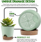 Indoor Self Watering Planters with Drainage Holes and Saucers, 9,8, 7.5 Inches, Green, 3 Pots (Springgreen)