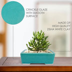 Set of 2 Zisha White Clay Bonsai Pot Glazed Shallow Succulent Planter Blue