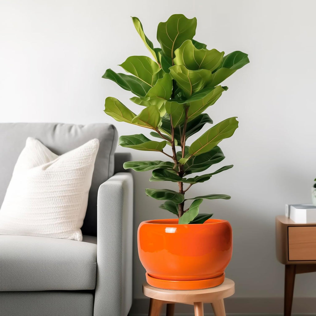 SQOWL Ceramic Planter - 10 Inch Plant Pot with Drainage Hole and Saucer, Round Modern Planter for Indoor Outdoor Plants, Decorative Large Flower Pot, House Decor, Gifts for Women Men, Orange