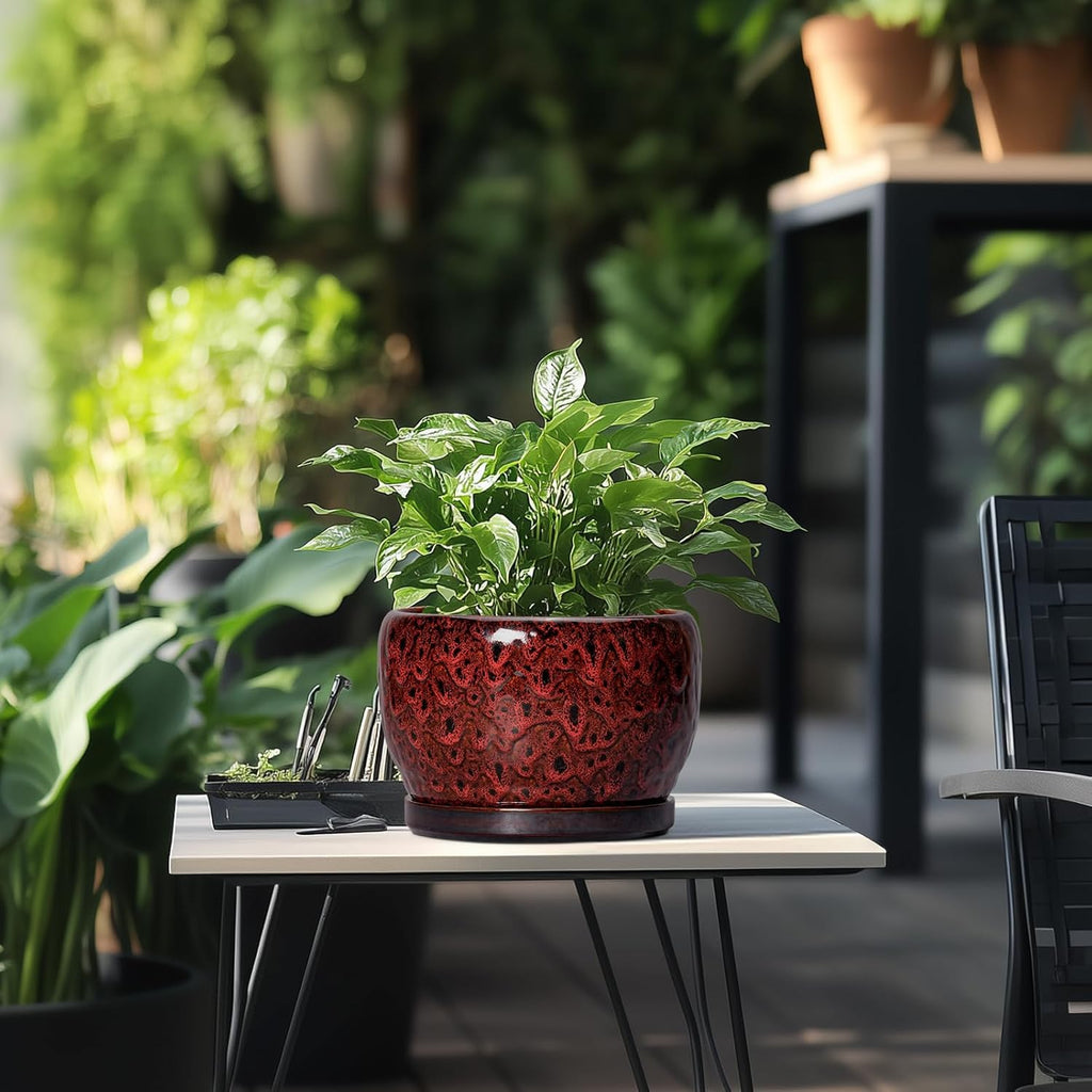 SQOWL Ceramic Plant Pots - 8 inch Planter with Drainage Hole and Tray, Round Ceramic Planter for Indoor Outdoor, Modern Decorative Flower Pot, Home Room House Decor, Plant Lovers Gifts, Red