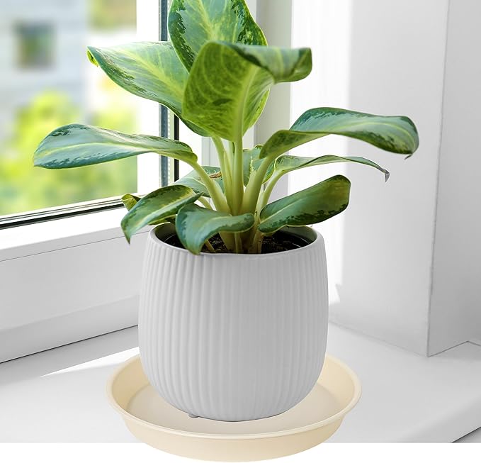 4 Pack of 14 inch Plant Saucers Bird Bath Bow Round, Plastic Plant Saucer Tray for Pots, White Planters for Indoor Plants, Plant Trays for Planter 12-15" (14", Beige)
