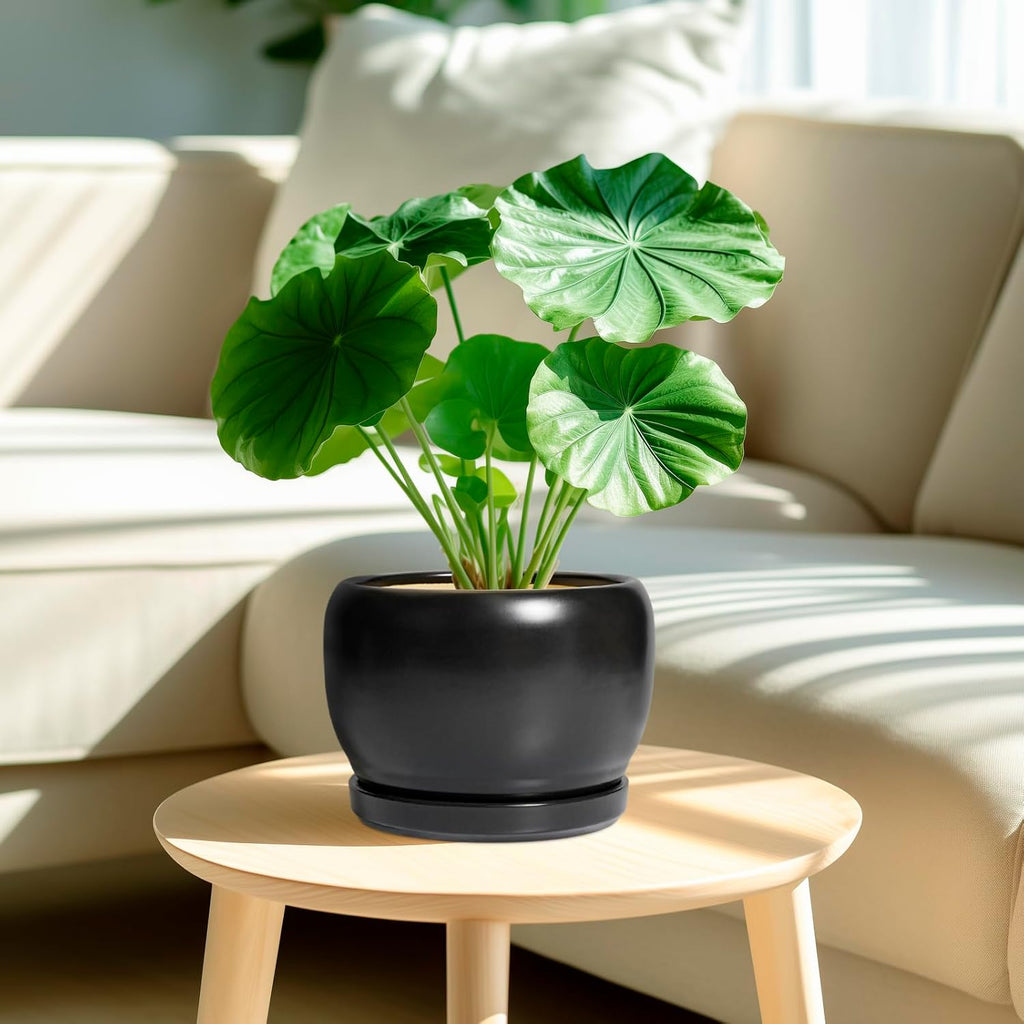 SQOWL Ceramic Plant Pots - 8 Inch Planter Indoor, Round Flower Pot with Drainage Hole and Saucer, Modern Outdoor Planter, Apartment Decor, Gifts for Plant Lovers, Black