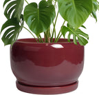 SQOWL Ceramic Pot for Plants - 10 Inch Indoor Planter with Drainage Hole and Saucer, Round Modern Planter Outdoor, Decorative Large Plant Pot for Flower, Living Room Decor, Garden Gifts, Red
