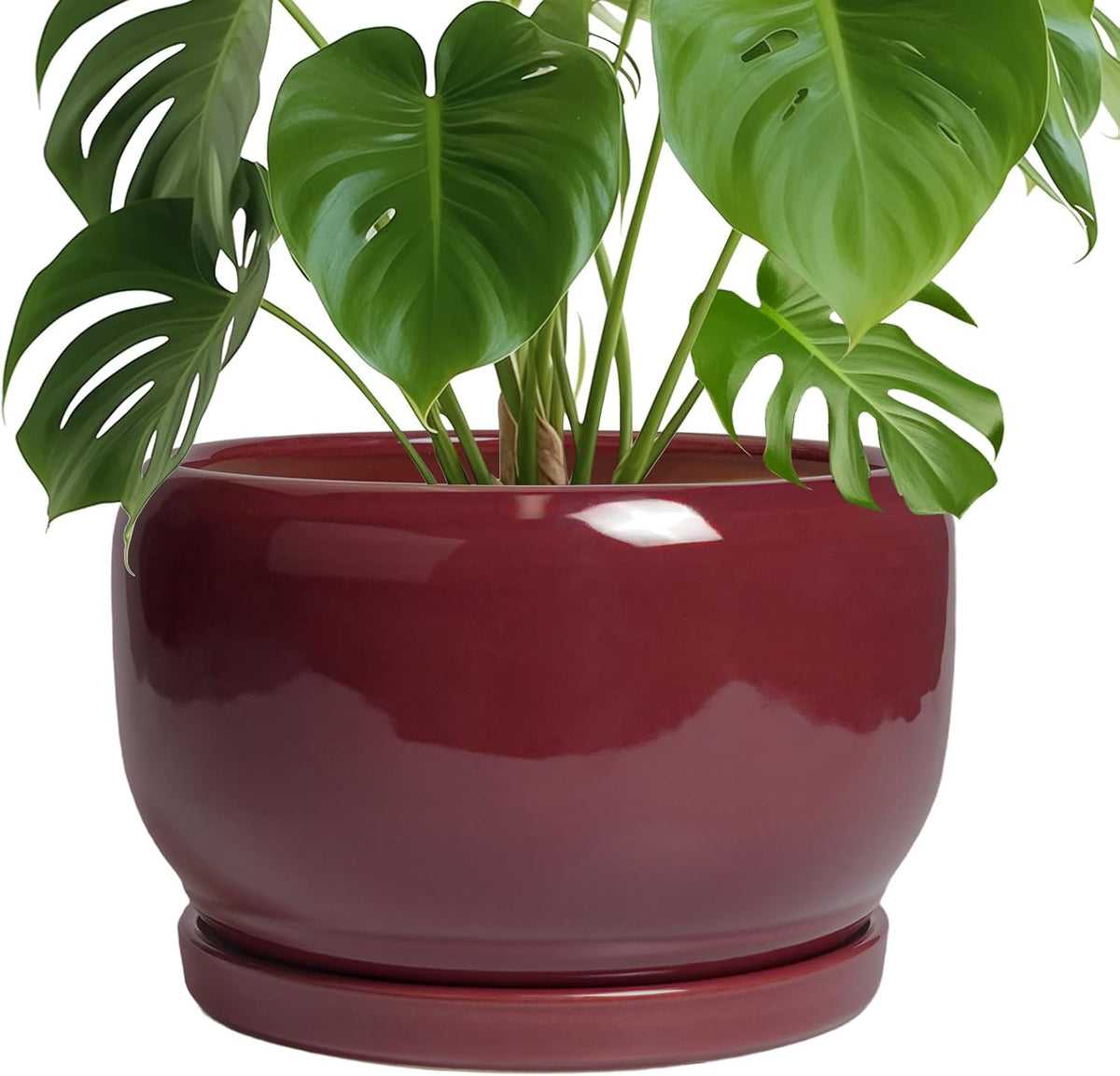 SQOWL Ceramic Pot for Plants - 10 Inch Indoor Planter with Drainage Hole and Saucer, Round Modern Planter Outdoor, Decorative Large Plant Pot for Flower, Living Room Decor, Garden Gifts, Red
