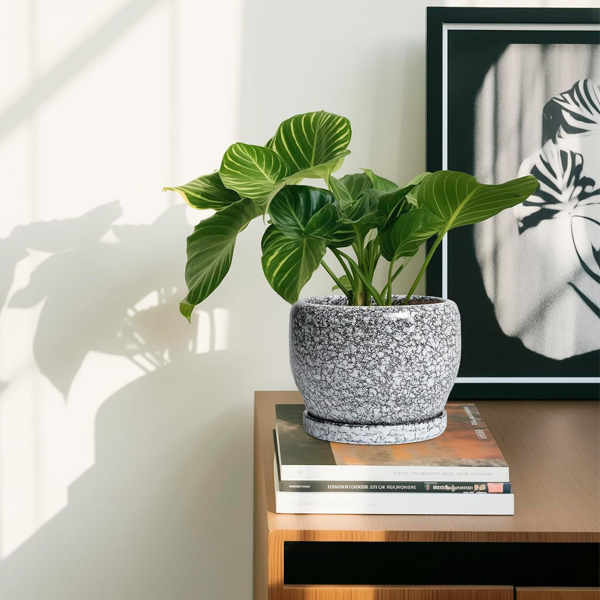 SQOWL Ceramic Pot for Plants - 6 Inch Ceramic Planter for Indoor Outdoor, Decorative Plant Pot with Drainage Hole and Saucer, Round Planter for Flower, Bedroom Decor, Garden Gifts, Black and White